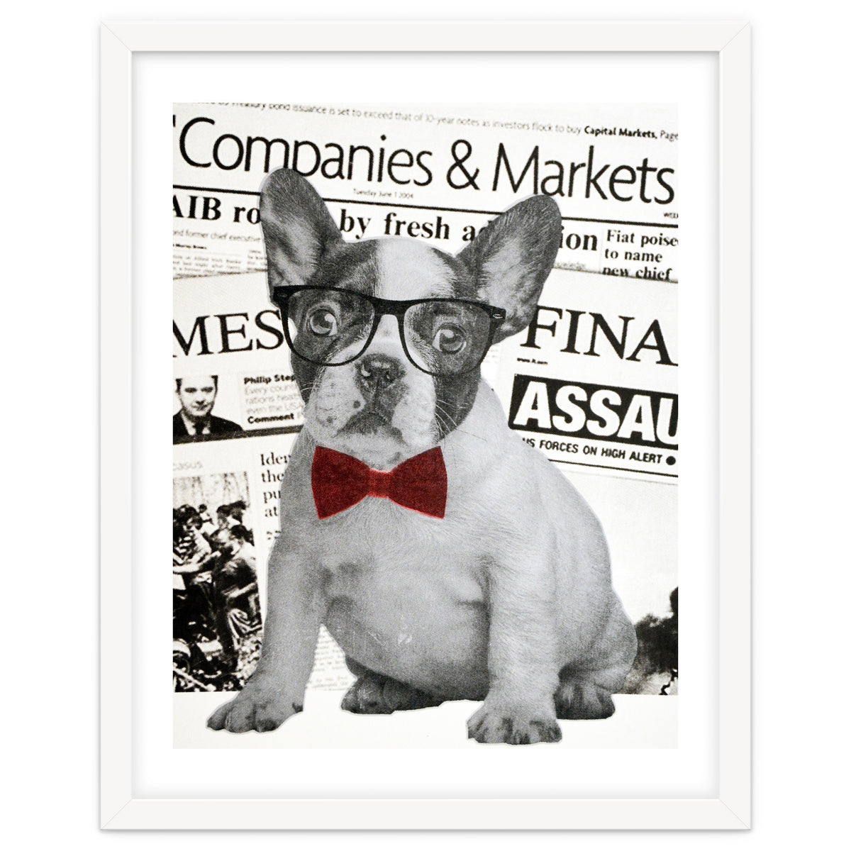 The Dog Of Wall Street