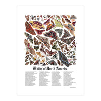Moths of North America  (Print Only)