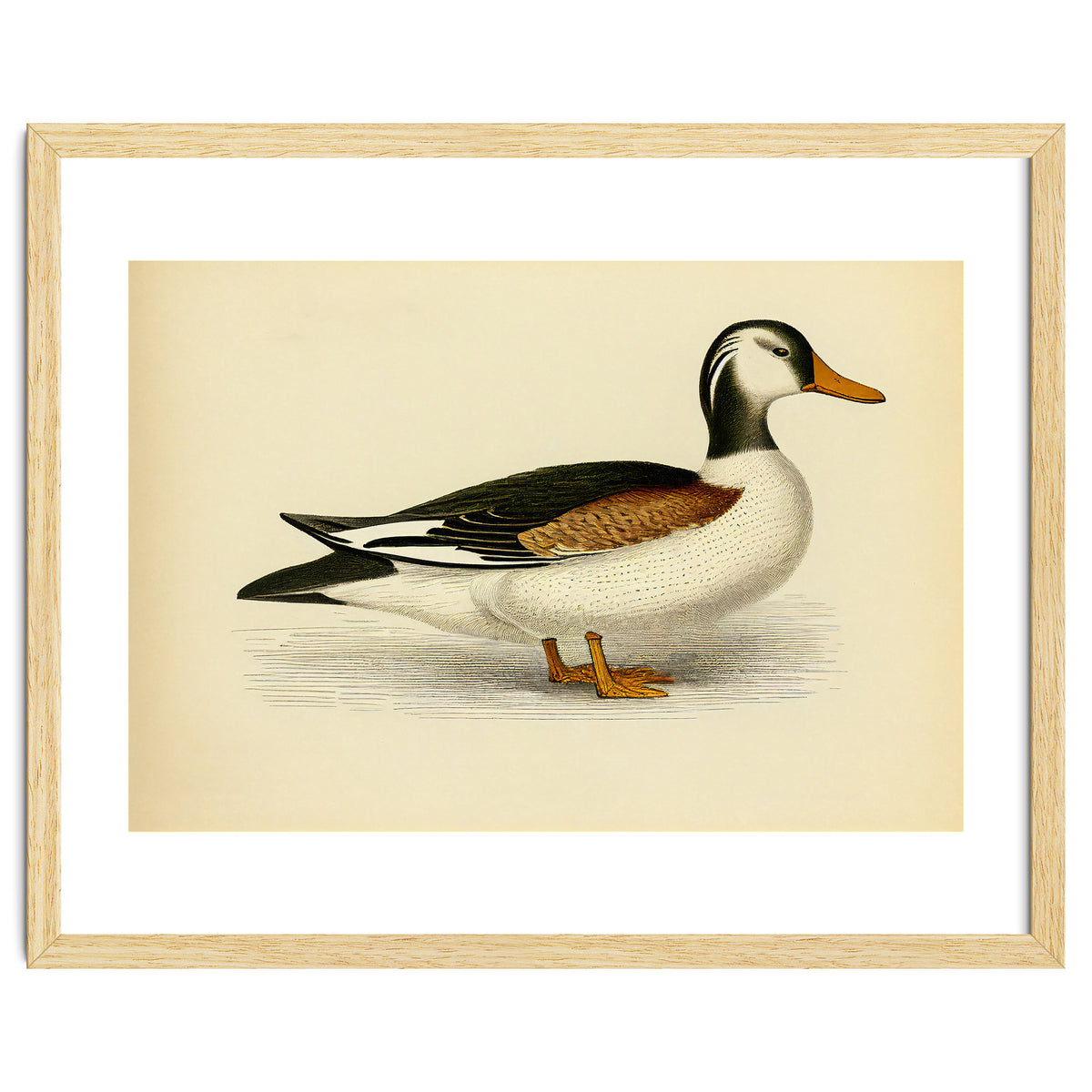 Vintage Duck Painting