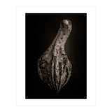 Gourds No 3 (Print Only) thumbnail