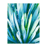 Heart Of Nature (Print Only) thumbnail