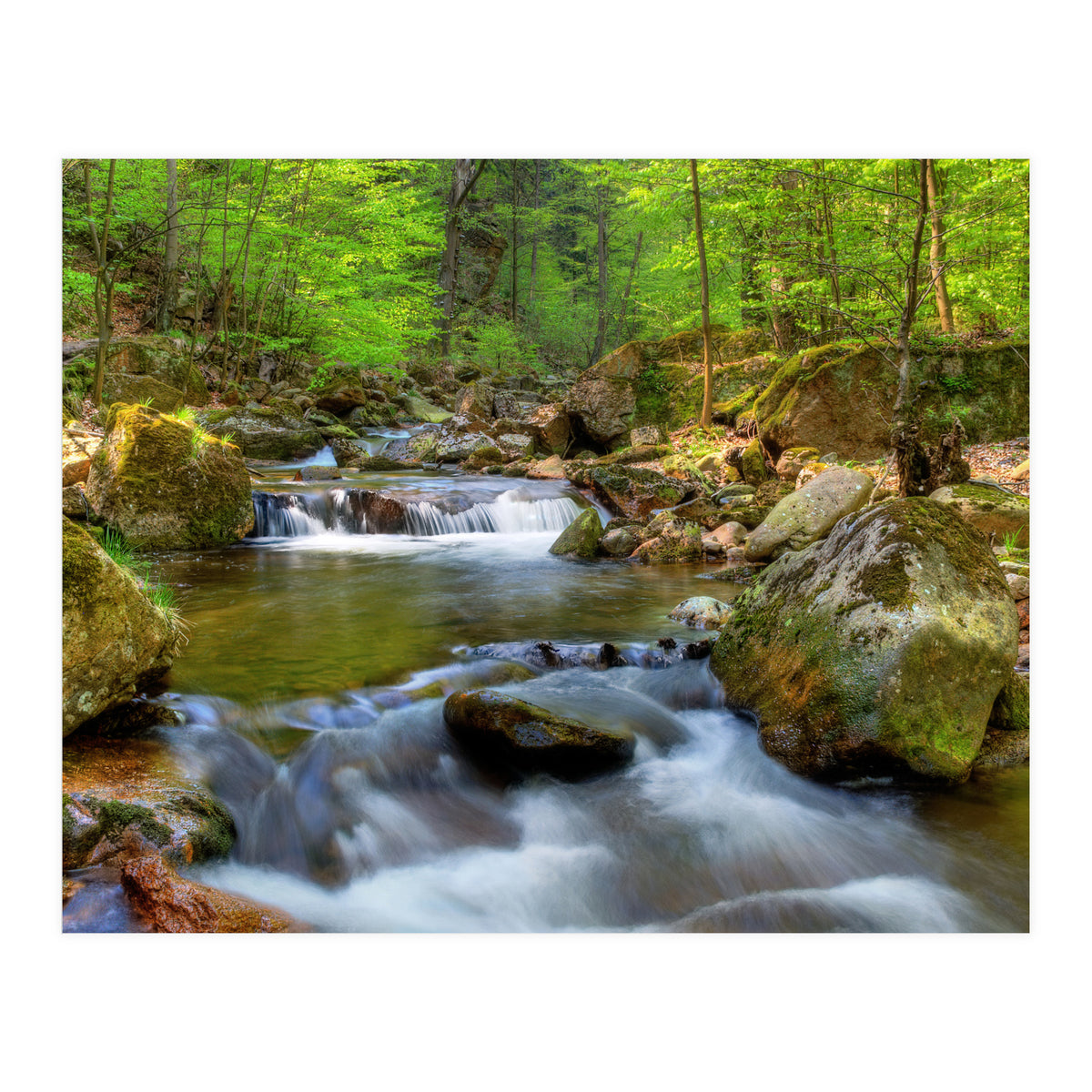 Spring At Harz Moutain (Print Only)