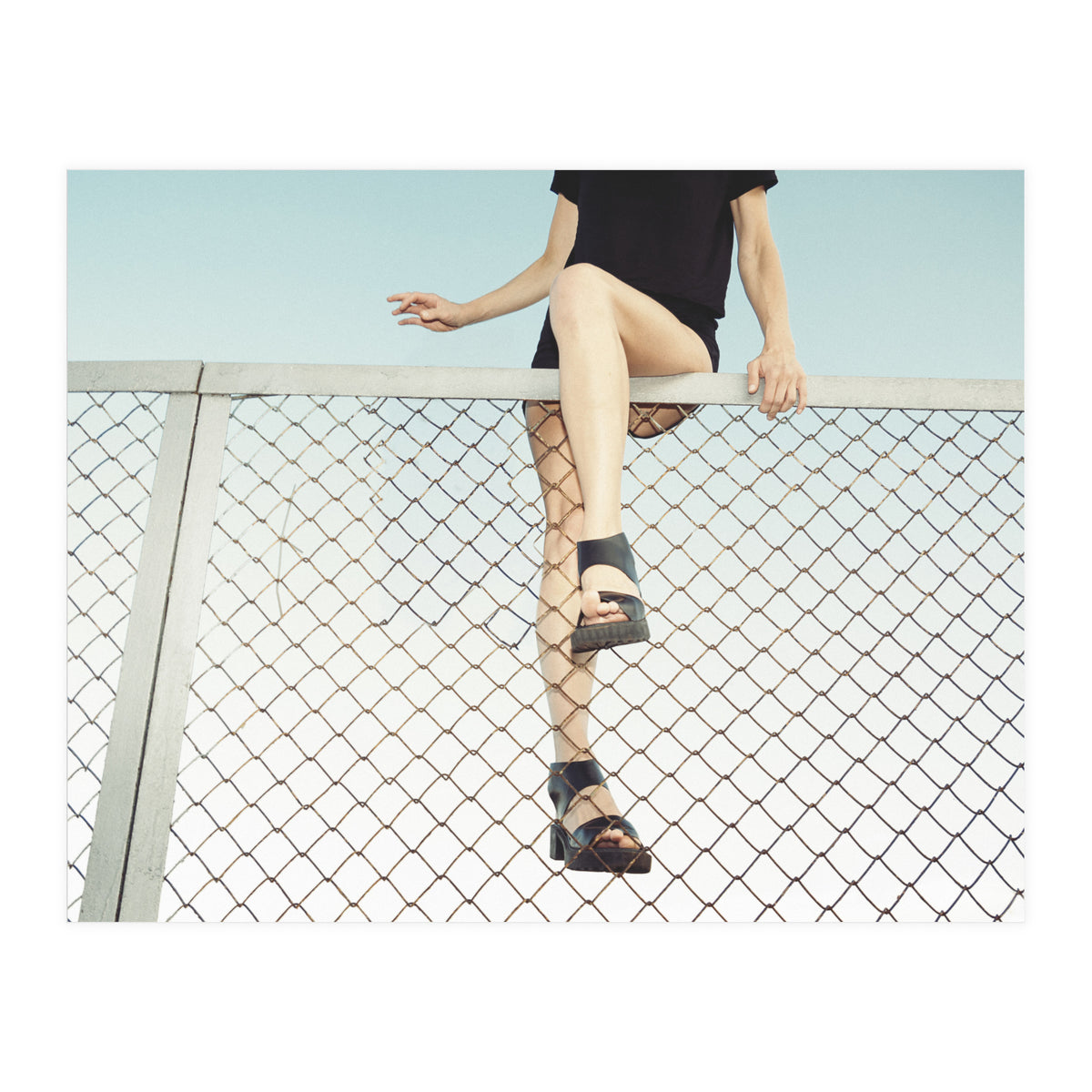 Hoping Fences (Print Only)