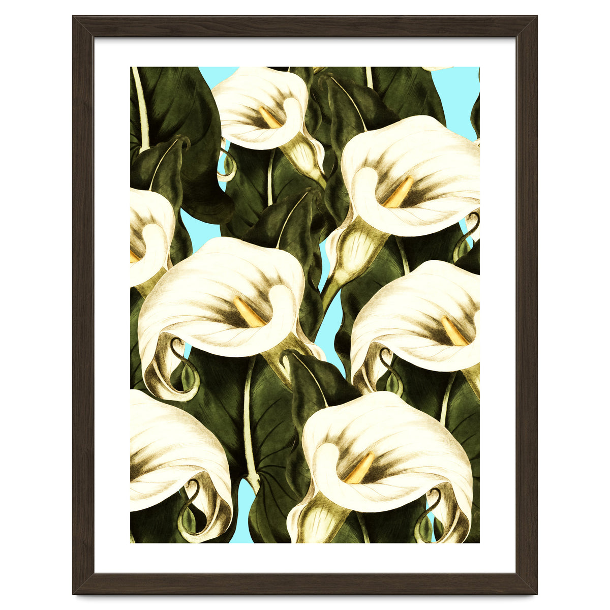 Pattern floral Ethiopian-Calla