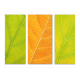 Autumn Leaves (Print Only) thumbnail