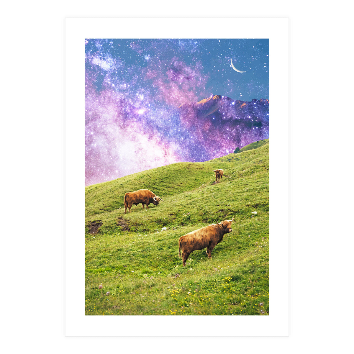 Space Cow Series II (Print Only)