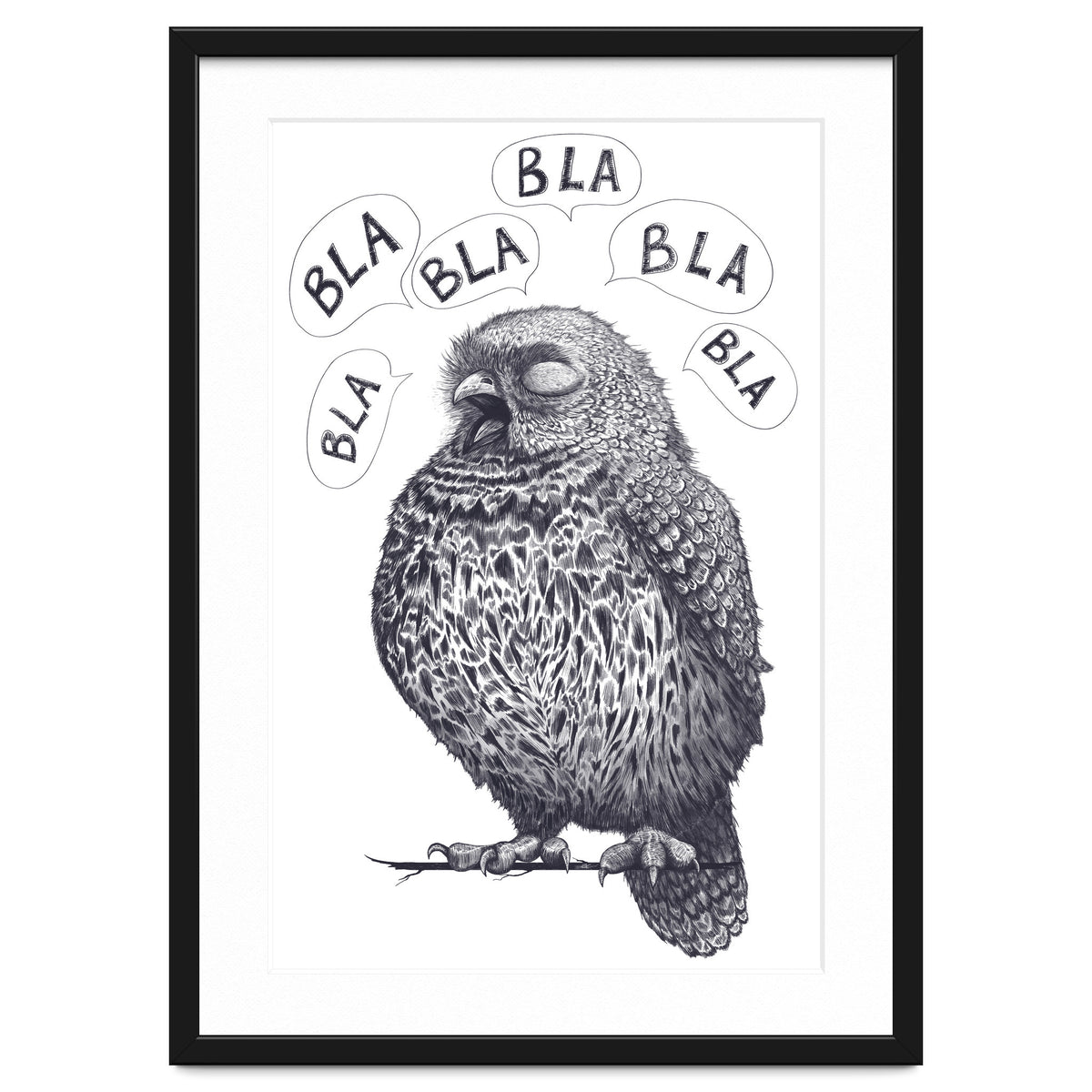 Owl Bla Bla Bla