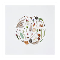 Treasures From Nature No. 1 - Square (Print Only)