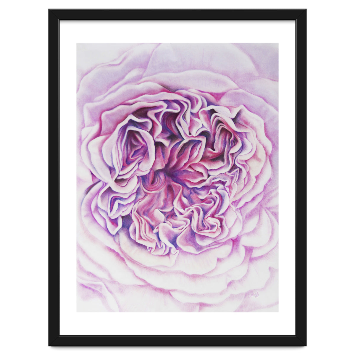 A Rose Is A Rose Std