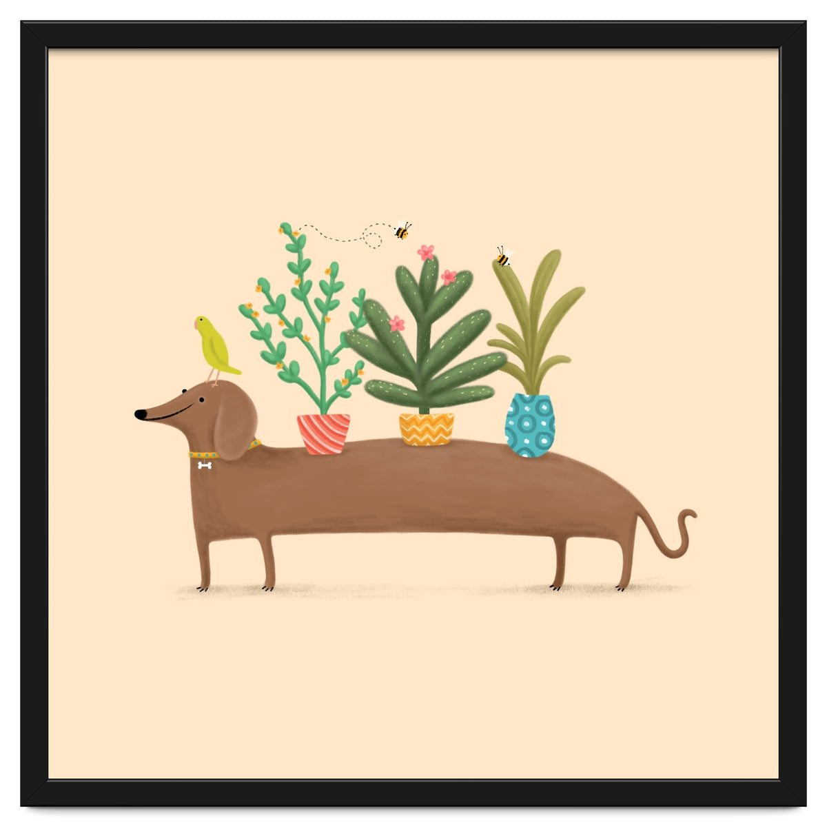 Dachshund And Parrot