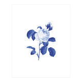 Blue Botanic I (Print Only) thumbnail