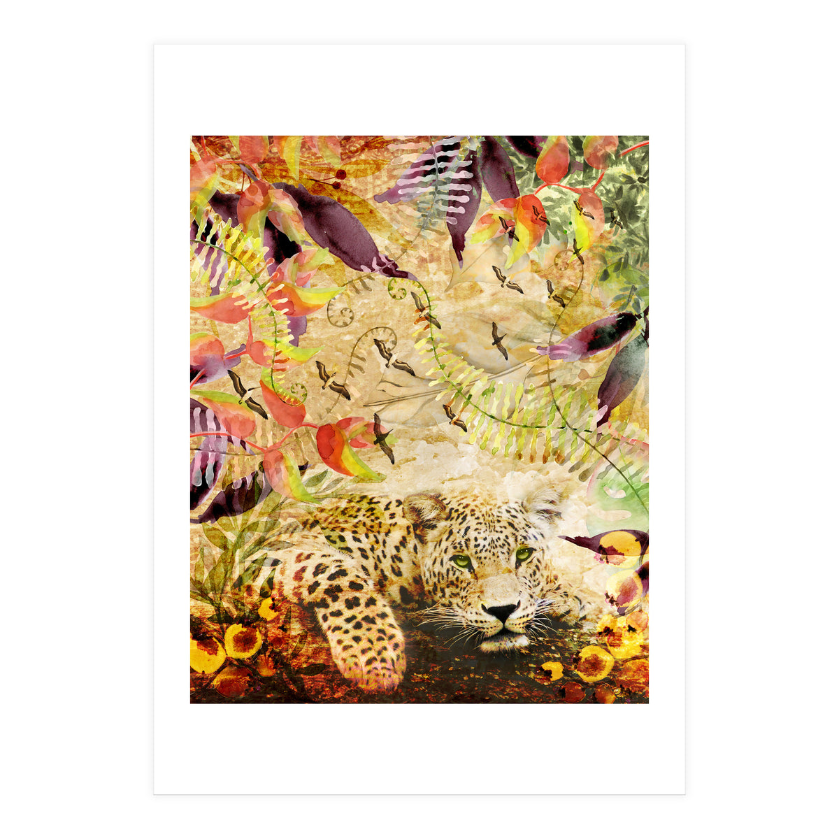 A Life Wild (Print Only)