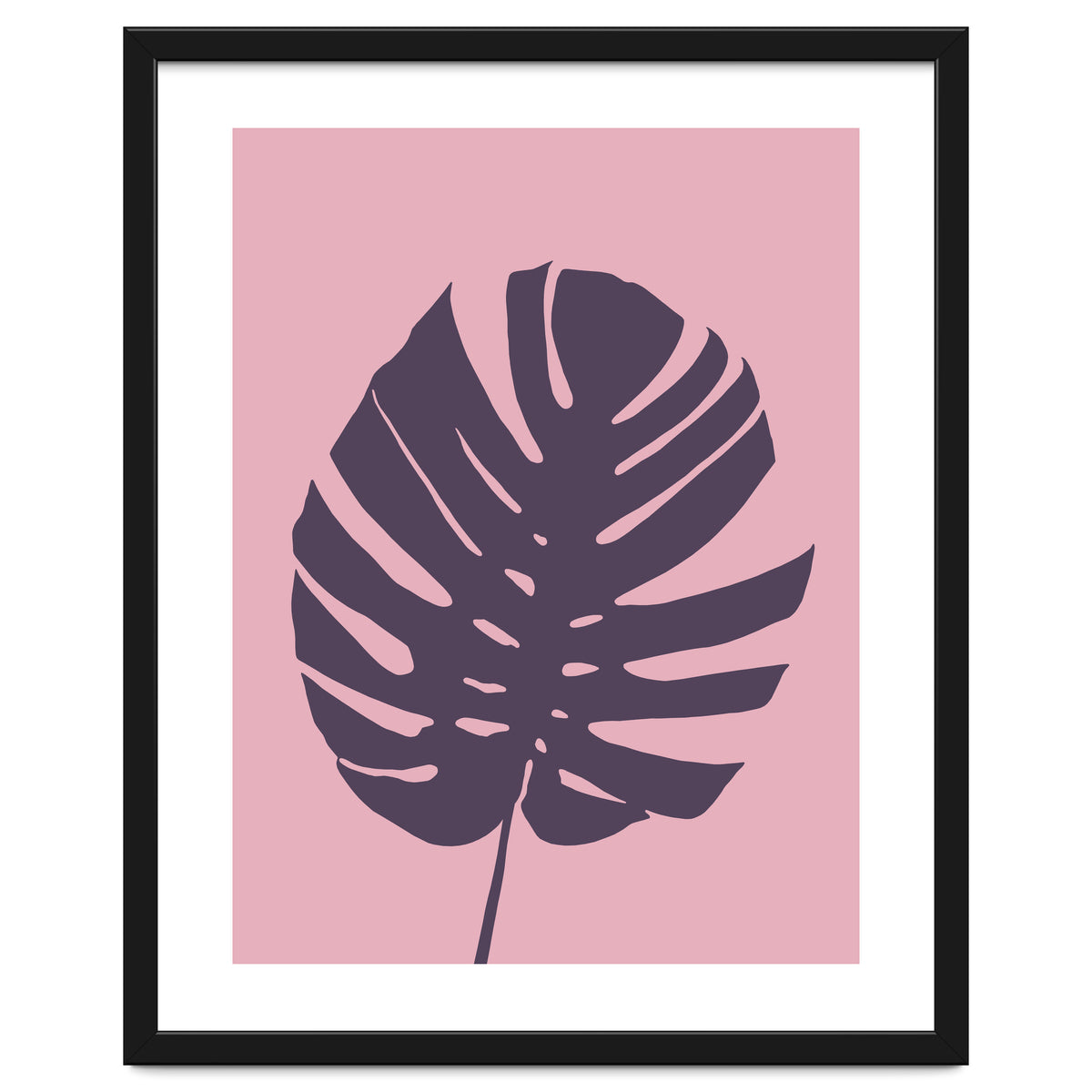 Monstera Deliciosa III