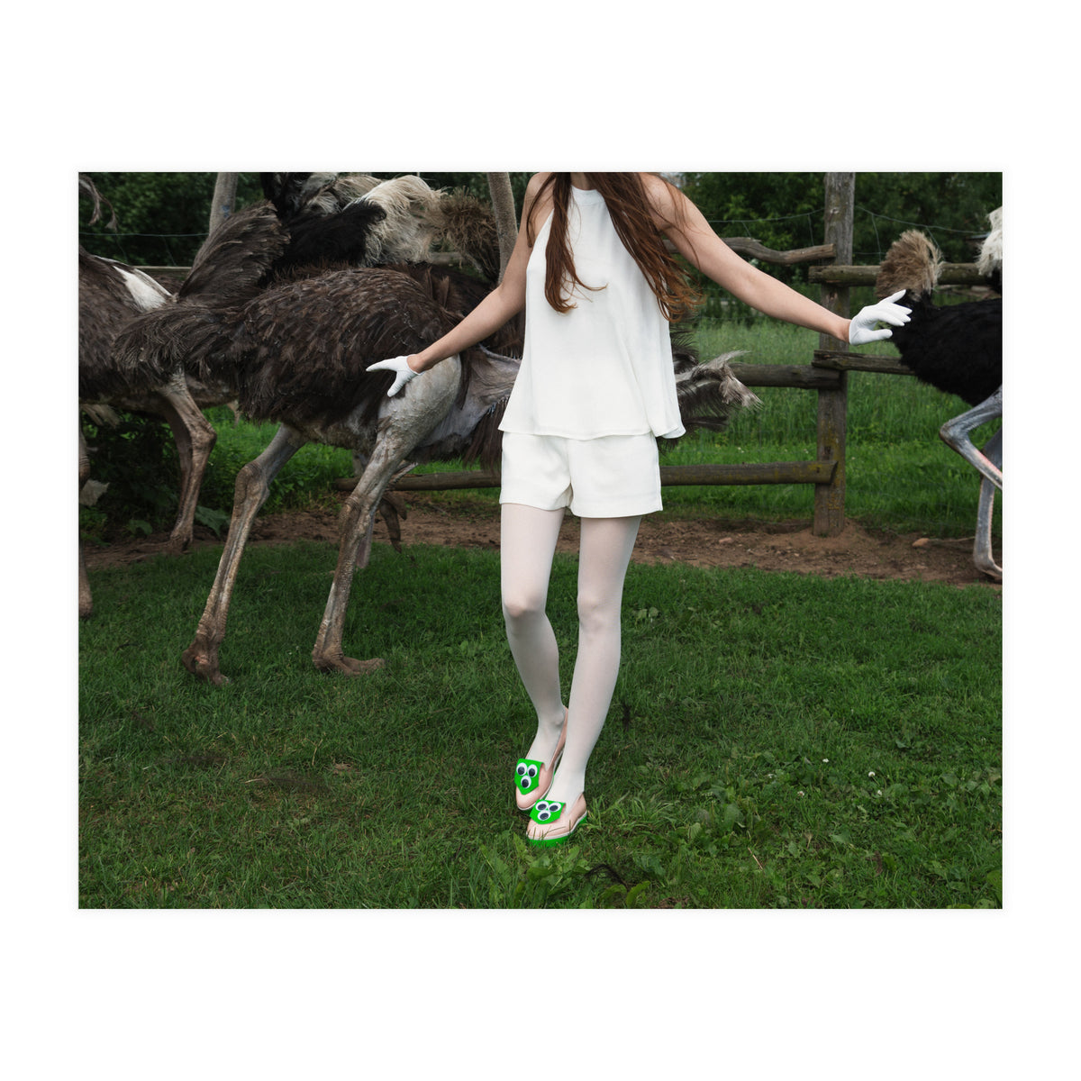 Wild Tales (Print Only)