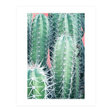 Cactus Up Close (Print Only) thumbnail