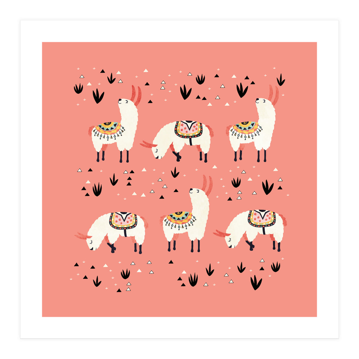 White Llamas In Pink Desert (Print Only)