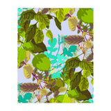 Herbs II (Print Only) thumbnail
