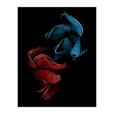 bettas fight (Print Only) thumbnail
