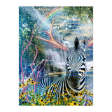 Zebralope (Print Only) thumbnail