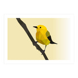 Prothonotary Warbler Low Poly Art (Print Only) thumbnail