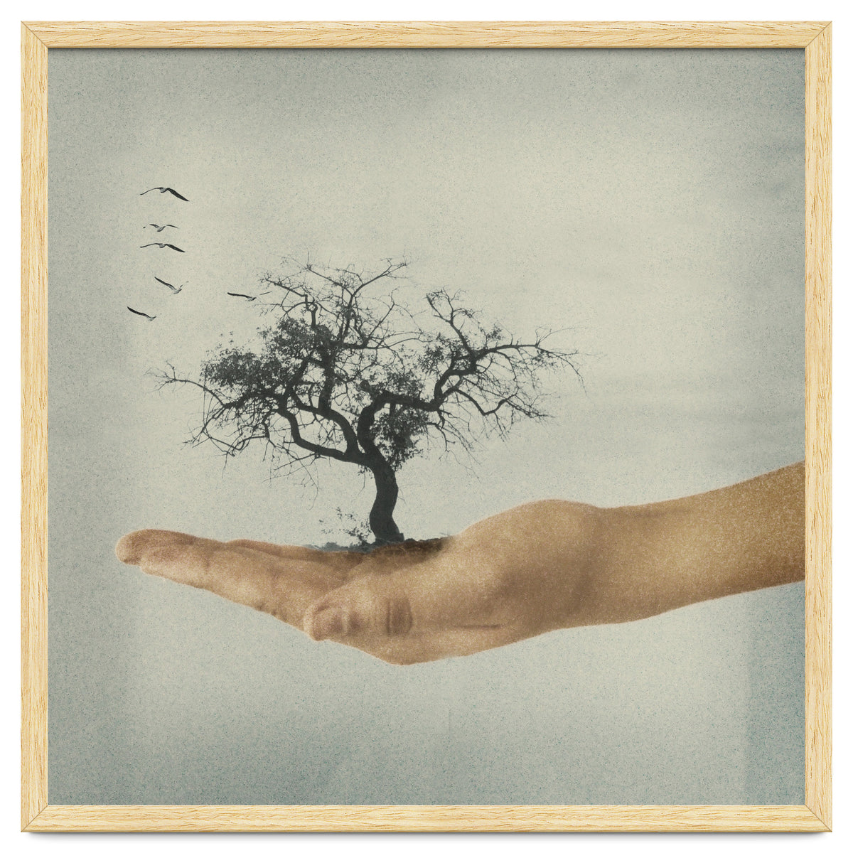 Its All In Your Mind