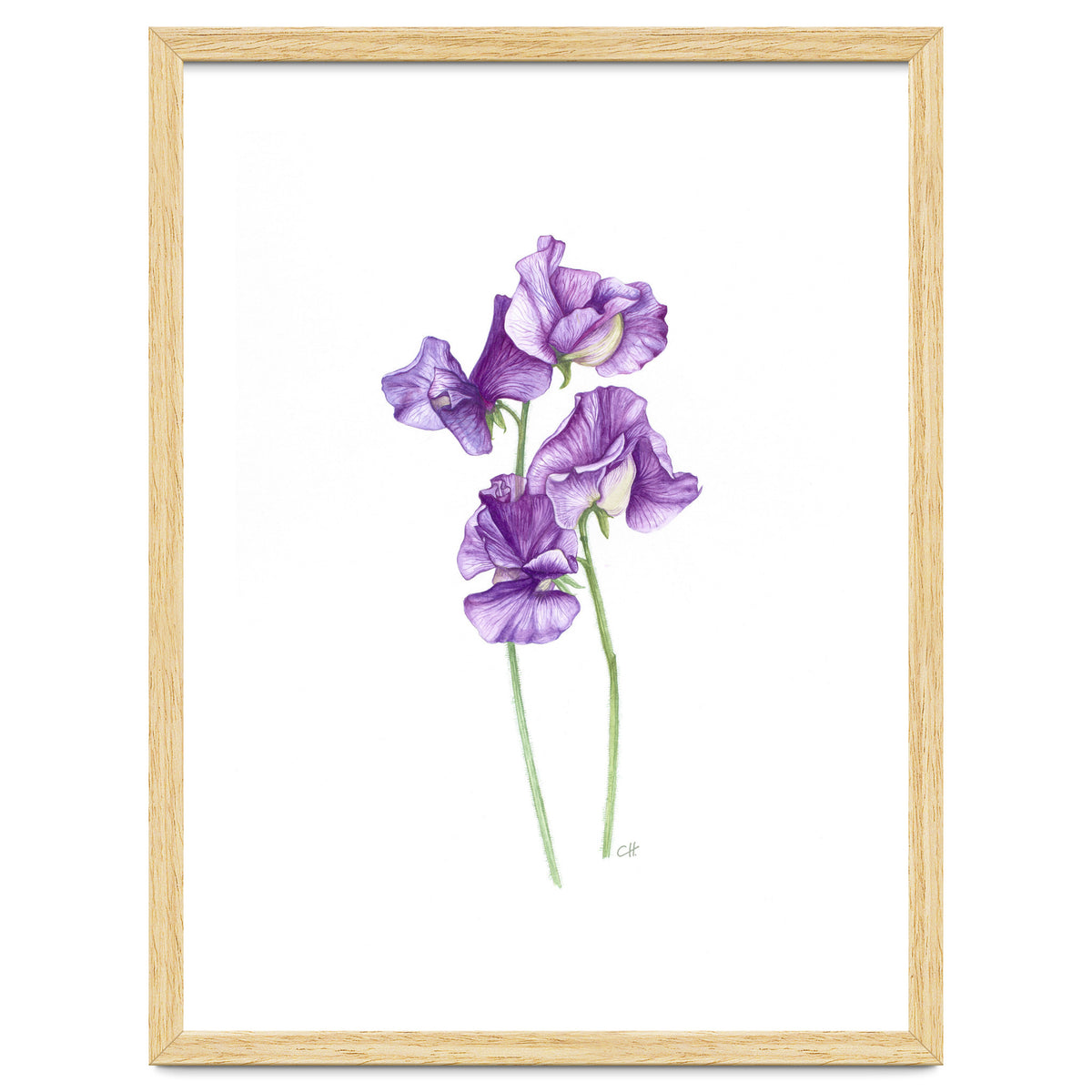 A Purple Posy Of Sweet Peas