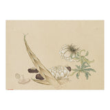 Wang Chengyu ~flowers, Vegetables, Lilies, Bamboo Shoots, Leaves, Mushrooms, Vegetables (Print Only) thumbnail