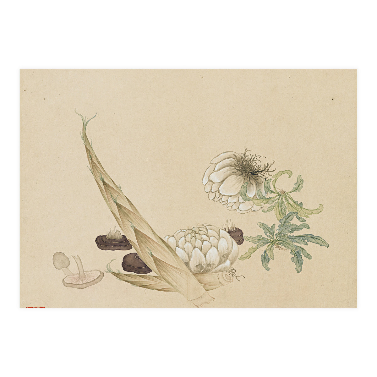 Wang Chengyu ~flowers, Vegetables, Lilies, Bamboo Shoots, Leaves, Mushrooms, Vegetables (Print Only)