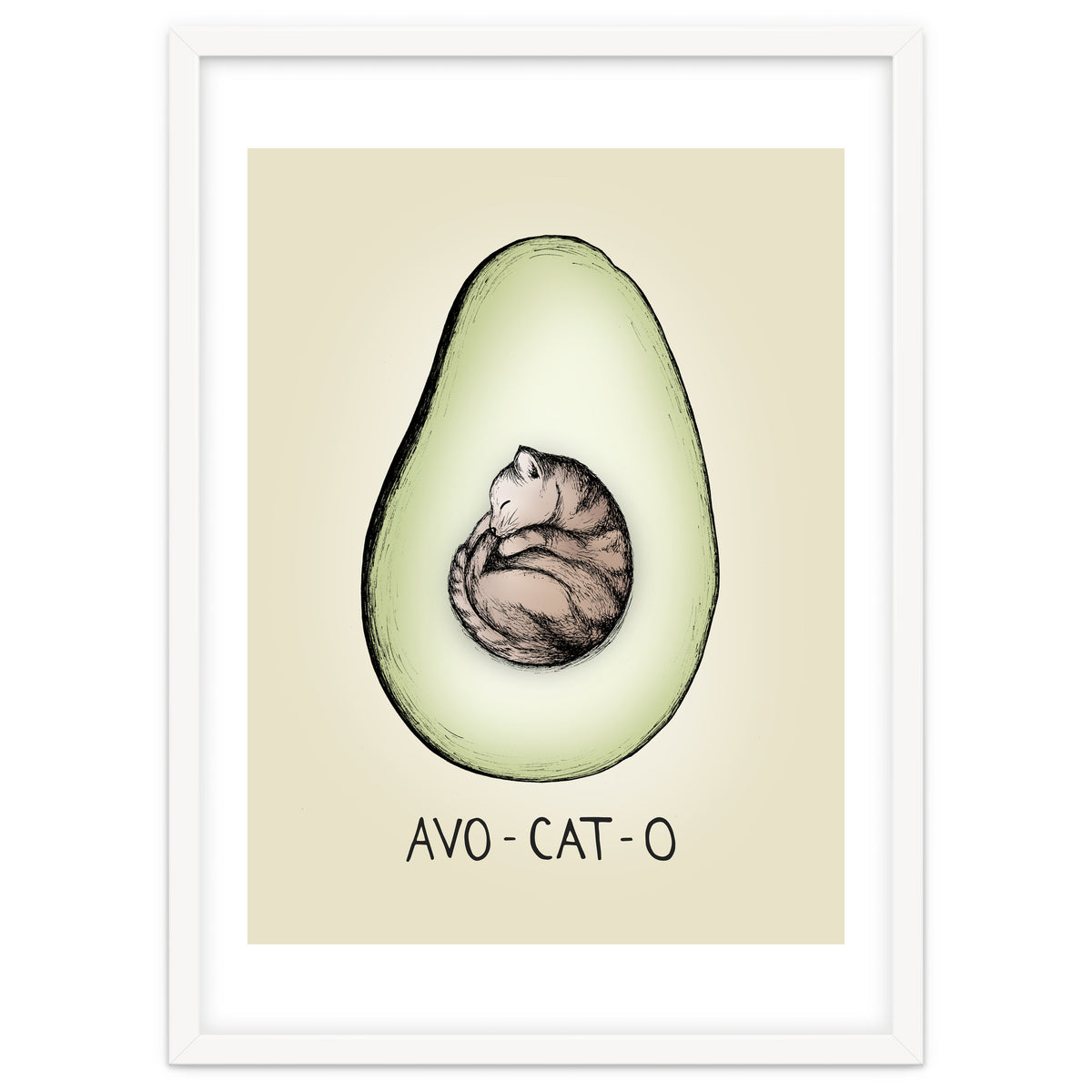 Avo-cat-o