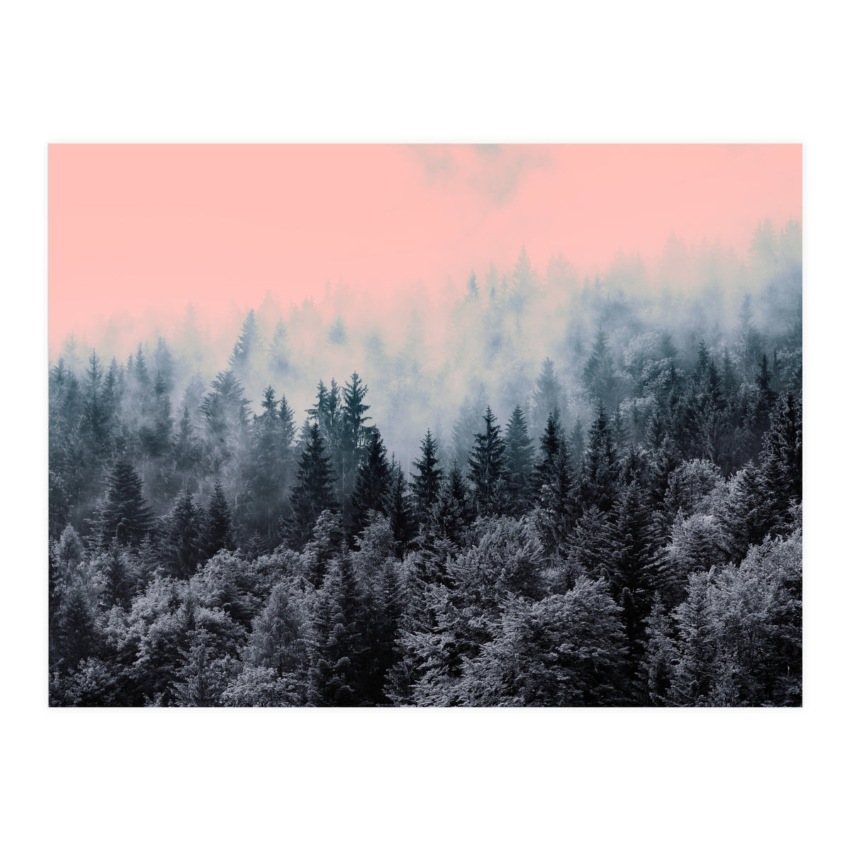 Forest in gray and pink  (Print Only)