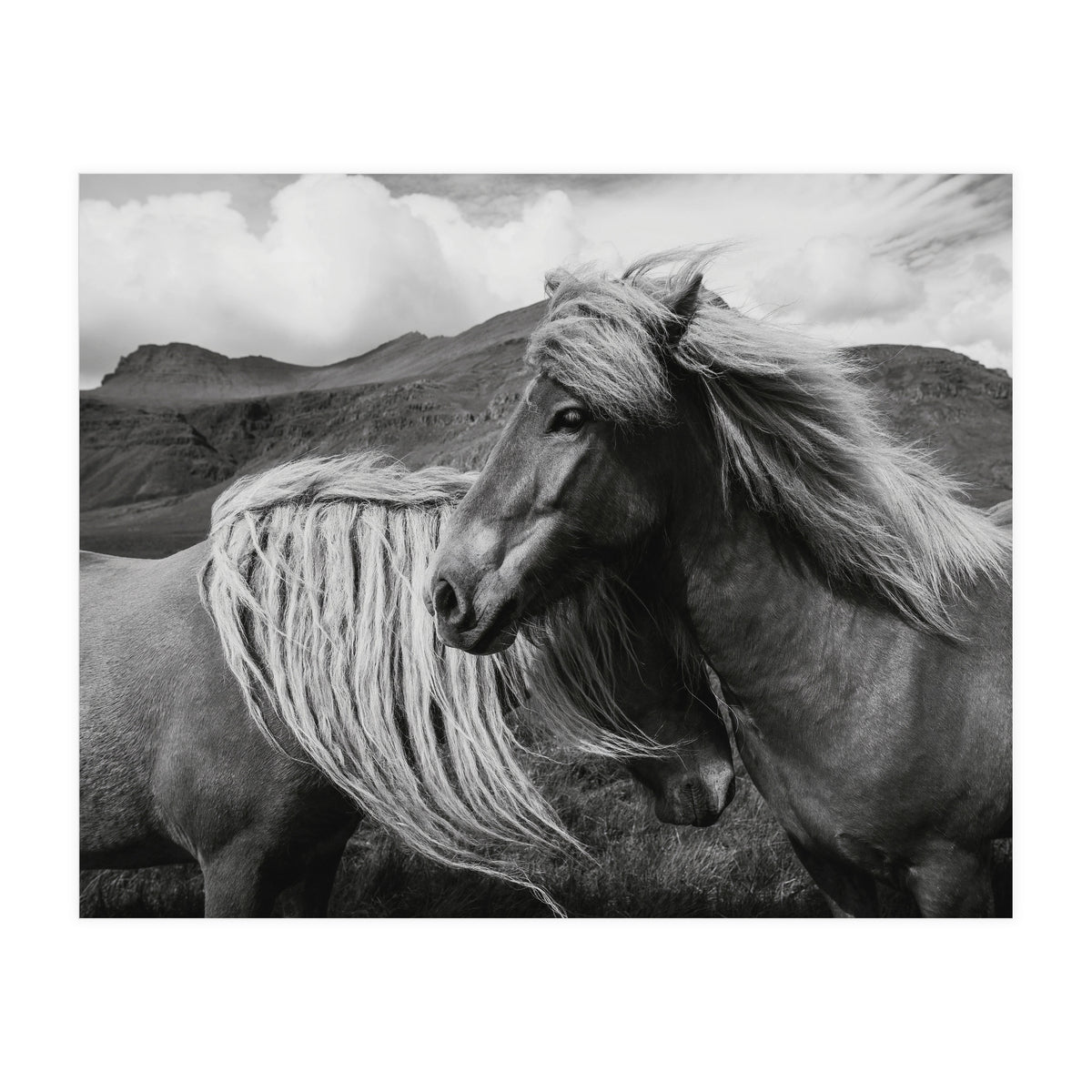 Horses In The Sky (Print Only)