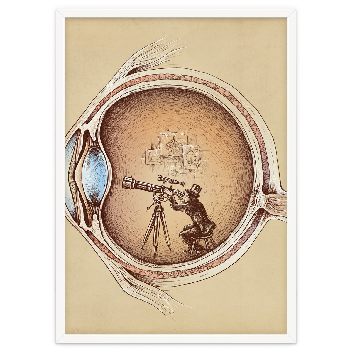 Extraordinary Observer