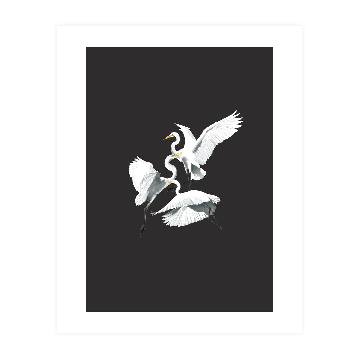 Three Heron Waltz (Print Only)