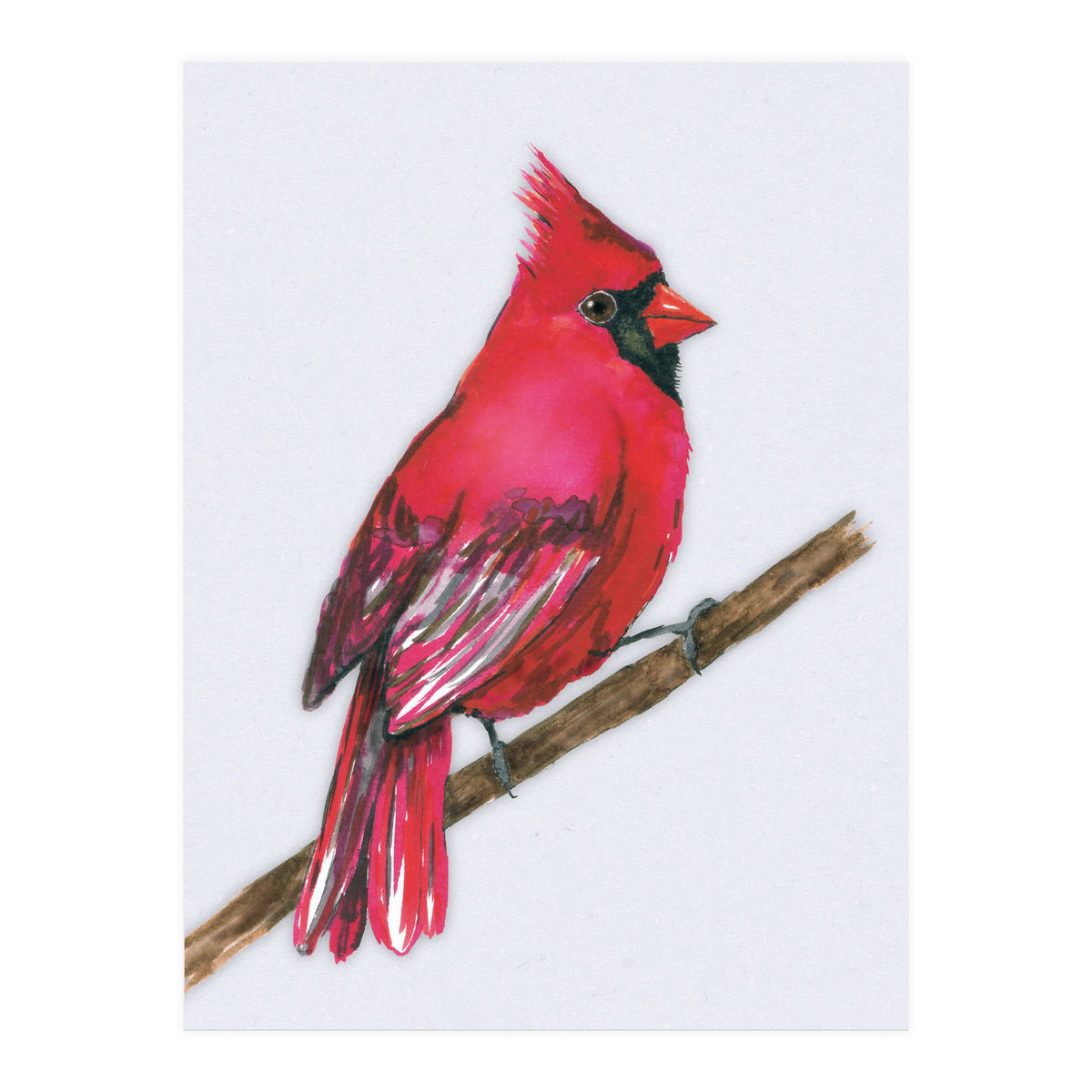 A Northern cardinal watercolor (Print Only)