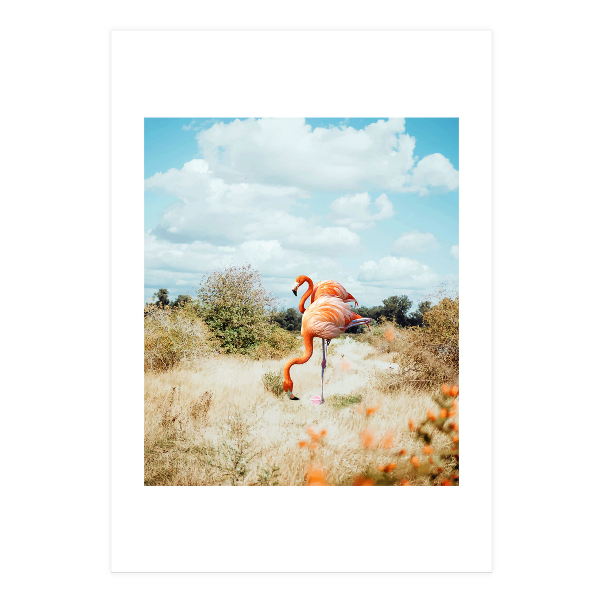 Flamingo Couple (Print Only)