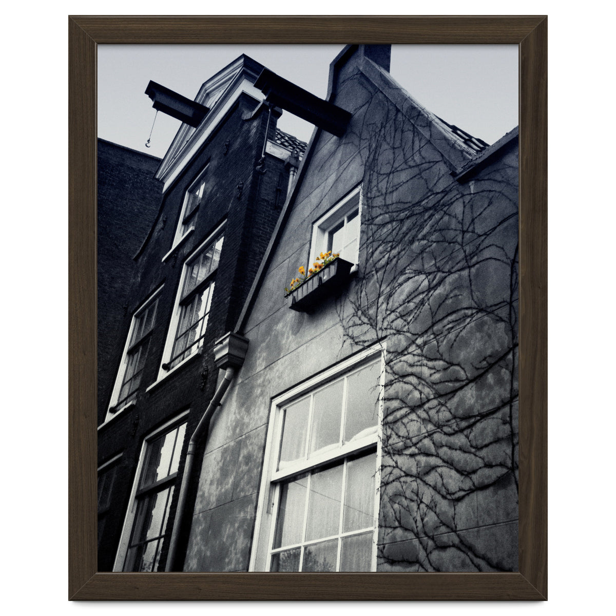 Amsterdam. House With Yellow Flowers.