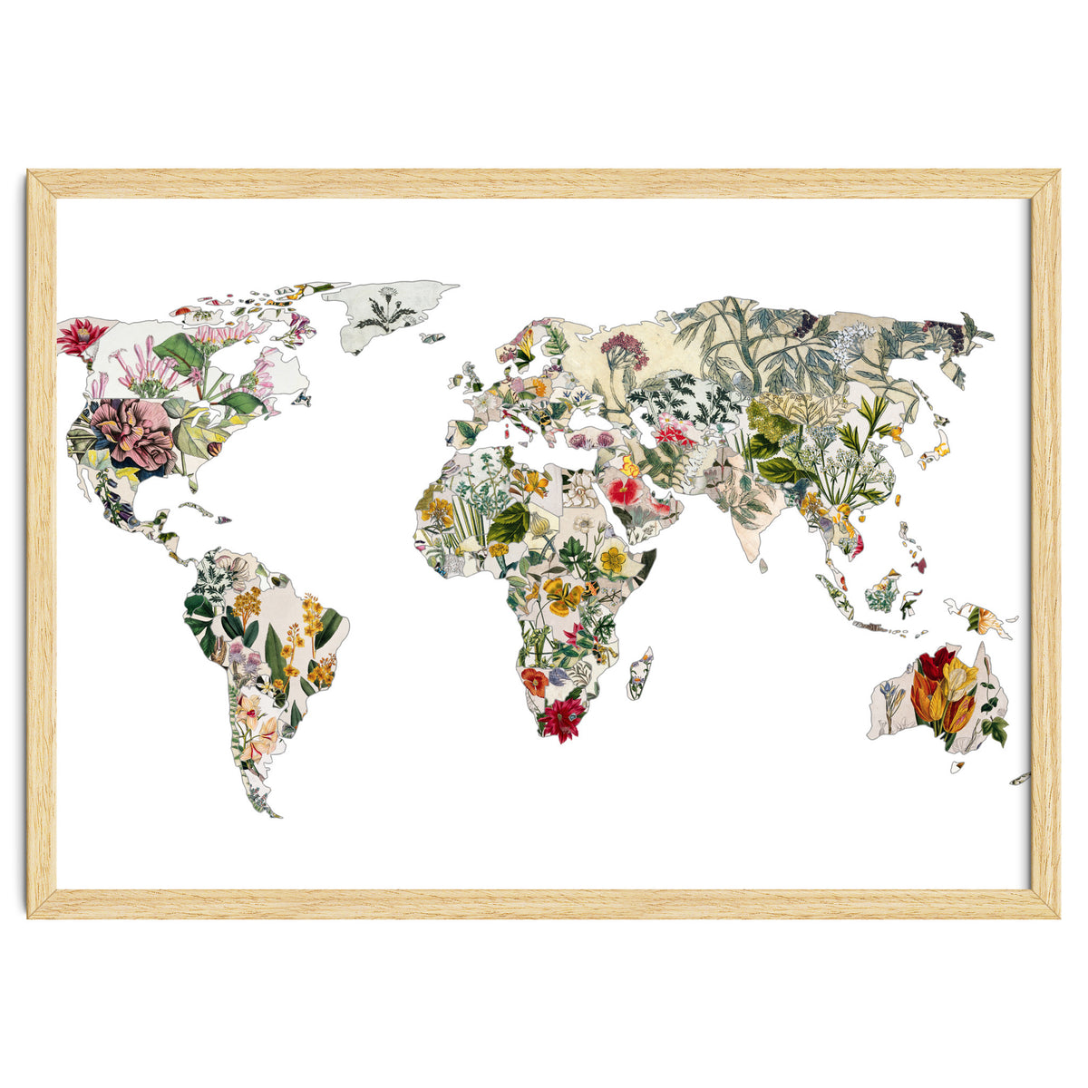 Vintage Botanical Map