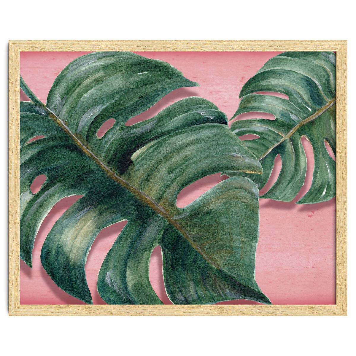 Monstera Leaf