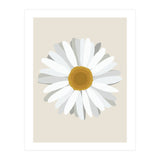 Daisy (Print Only) thumbnail