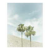 Palm Trees in the desert | Vintage (Print Only) thumbnail