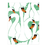White Calm Was Born Into A Swan (Print Only) thumbnail