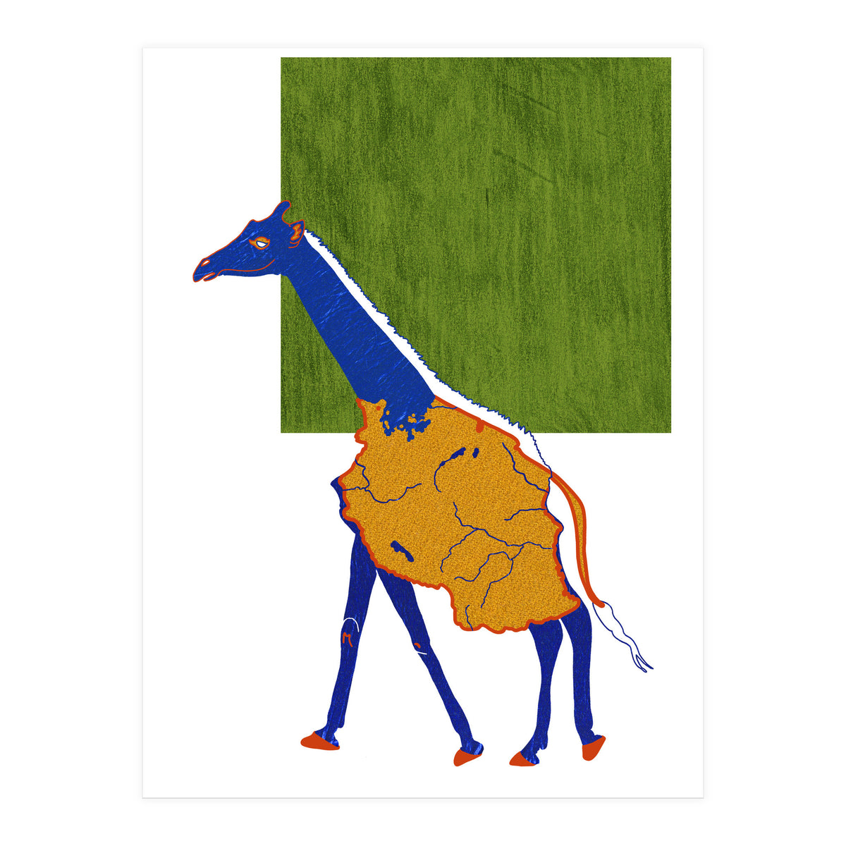 Tanzanian Giraffe (Print Only)