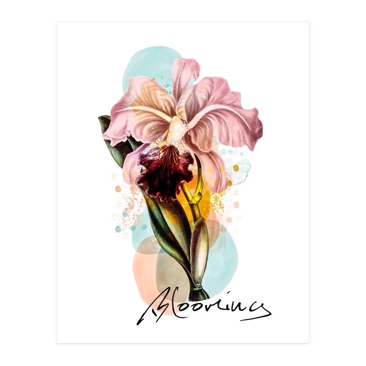 Blooming (Print Only)