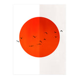 Seagulls Of The Sun (Print Only) thumbnail