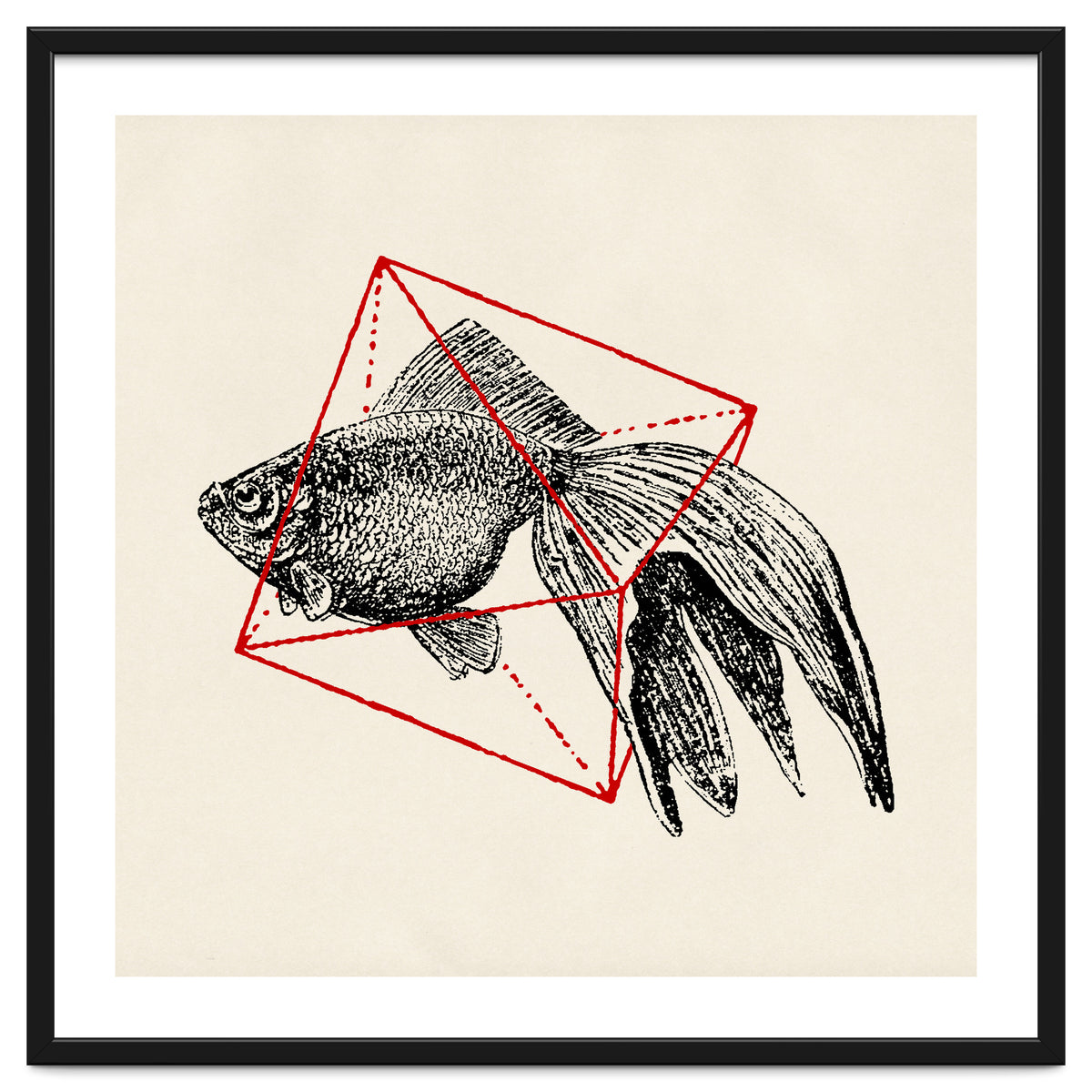 Fish In Geometrics III (Square)