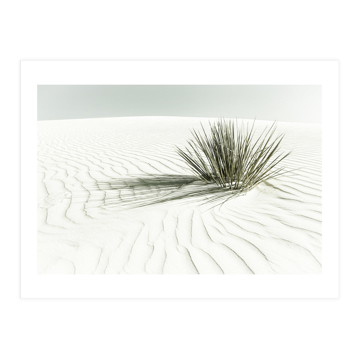 WHITE SANDS Idyllic scenery | Vintage (Print Only)