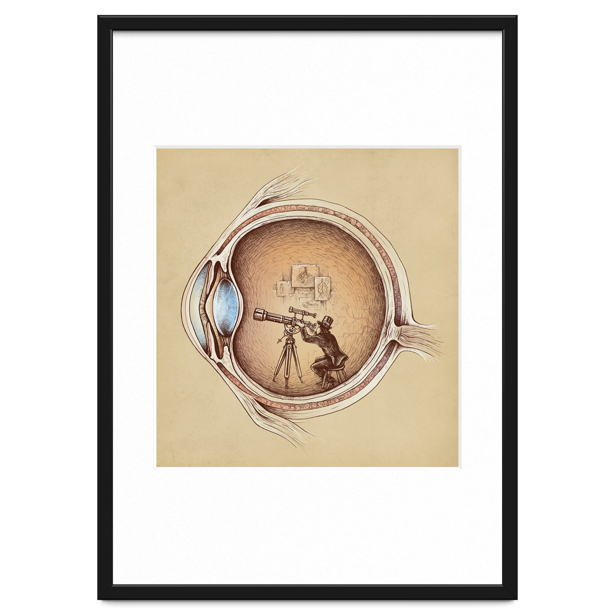 Extraordinary Observer