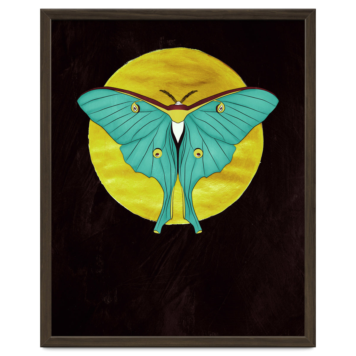 Luna Moth Moon