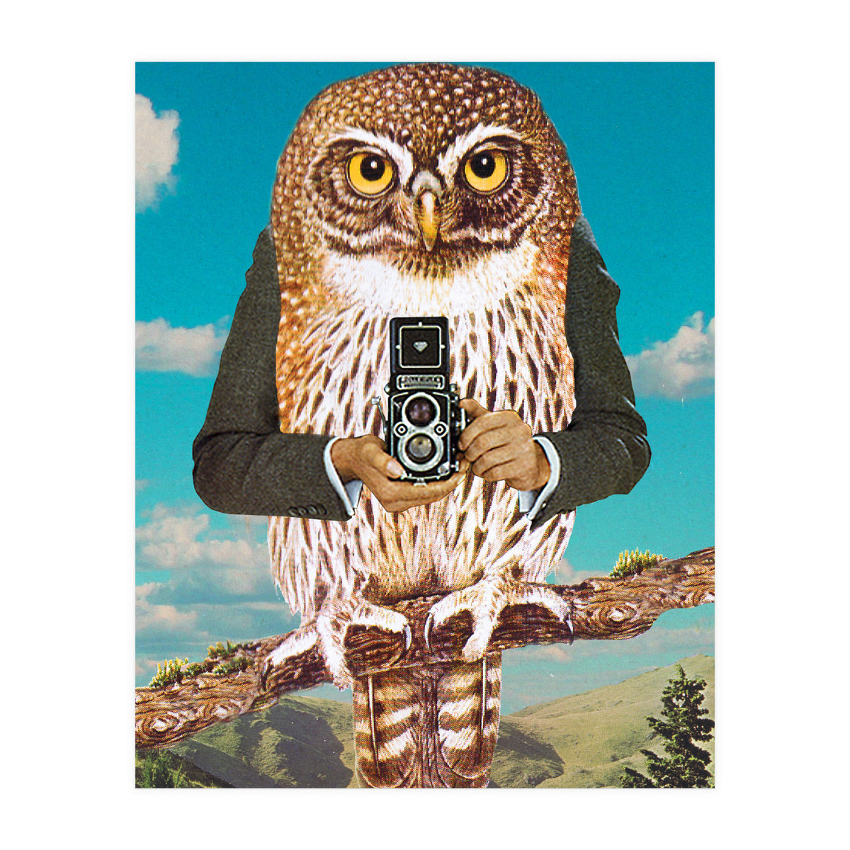 Just Say Cheese (Print Only)