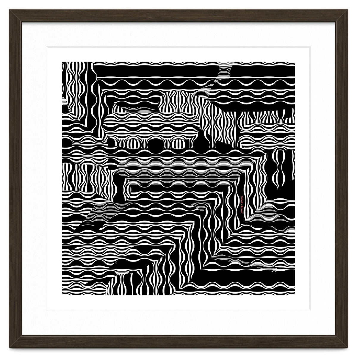 BLACK AND WHITE EXOTIC